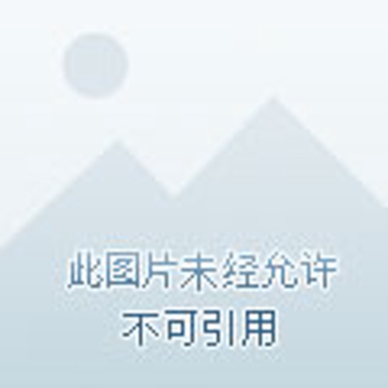 成都彩运莱商贸:行业前沿趋势洞察与市场变化解析